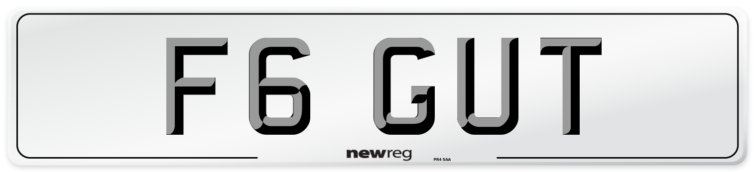 F6 GUT Number Plate from New Reg